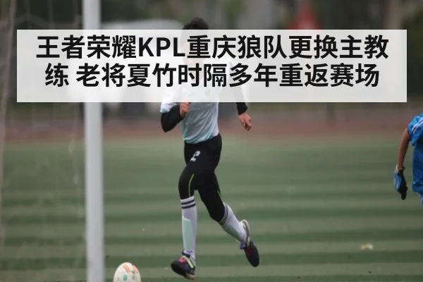 王者荣耀KPL重庆狼队更换主教练 老将夏竹时隔多年重返赛场